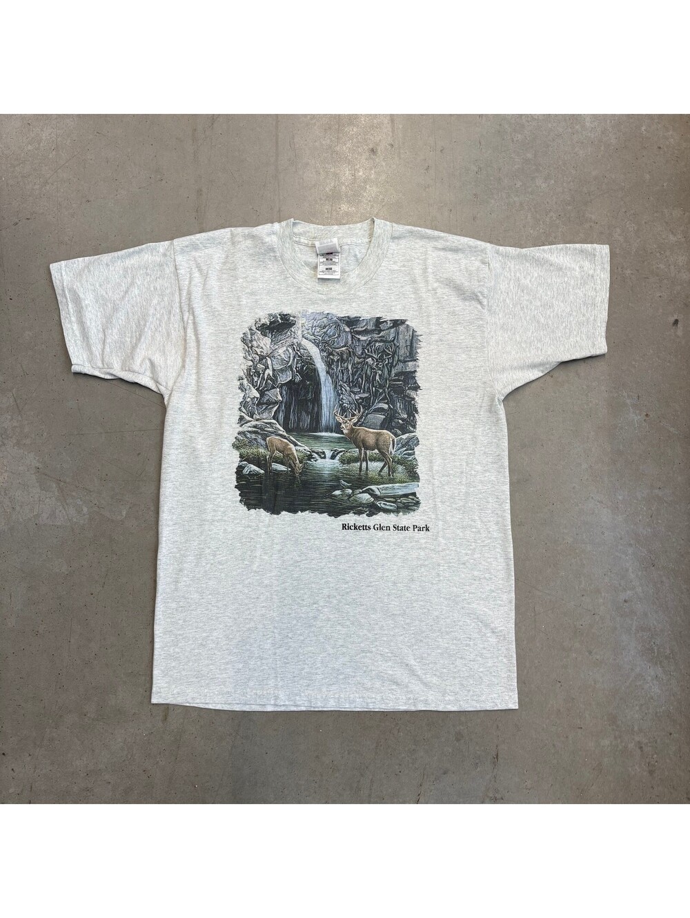 Vintage 90s Ricketts Glen State Park Graphic Nature T-Shirt Large Gray